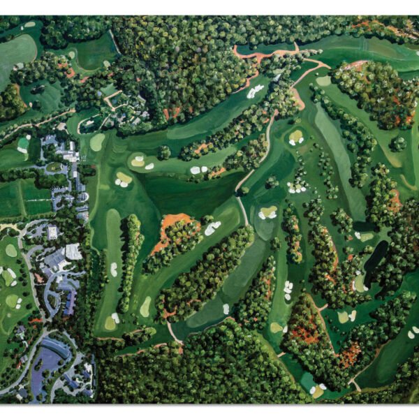Augusta National Amen Corner White Dogwood Golden Bell Azalea Golf Course all 18 Holes artwork poster Aerial View painting print pic ANGCairRiOil1 RichimageArt.com