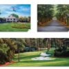 Augusta National Golf Club Camellia Hole 10 Founders Circle poster artwork Founders Circle pic Magnolia Lane painting print 5ANGC1pan5x4s 10