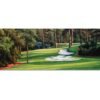 Augusta National Golf Club Camellia Hole 10 Founders Circle poster artwork Founders Circle pic Magnolia Lane painting print 5ANGC1pan5x4s 11
