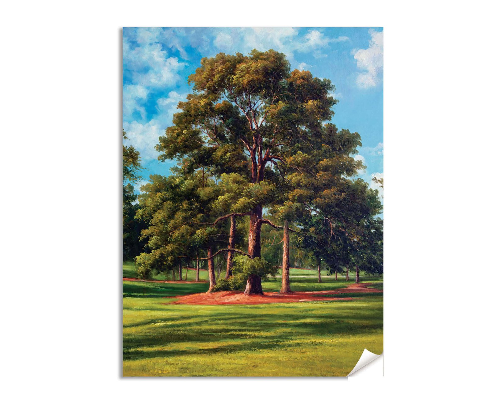 Augusta National Golf Club PGA painting print artwork pic Course Eisenhower Tree poster Masters ANGC10EsnhrTrRiOil RichimageArt.com