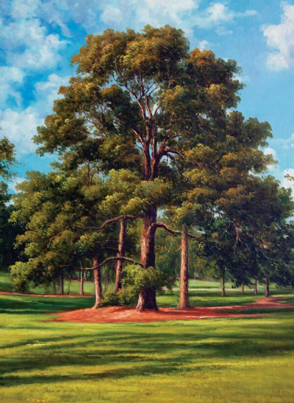 Augusta National Golf Club PGA painting print artwork pic Course Eisenhower Tree poster Masters ANGC10EsnhrTrRiOil RichimageArt.com 1