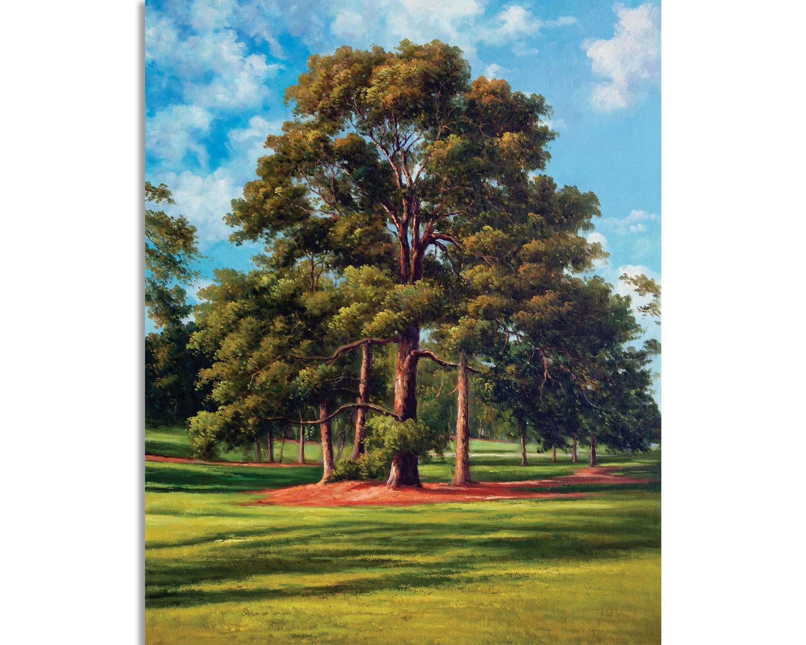 Augusta National Golf Club PGA painting print artwork pic Course Eisenhower Tree poster Masters ANGC10EsnhrTrRiOil RichimageArt.com 25
