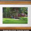 Augusta National Golf Club poster painting print pic Masters Amen Corner Golden Bell White Dogwood PGA Hole 11 12 artwork ANGC112RiOil01 RichimageArt.com 28