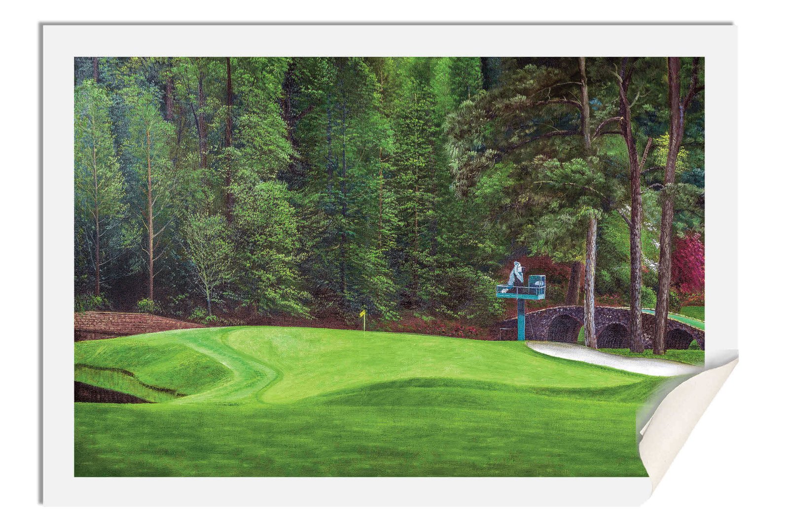 Augusta National Golf Club poster pic PGA Putting Green Masters artwork Course Hole 11 painting print White Dogwood ANGC11RiOil01 RichimageArt.com 17