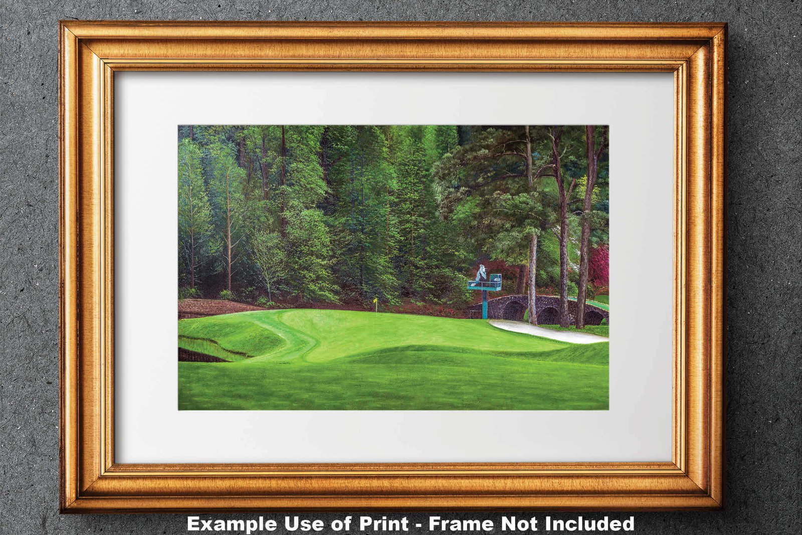 Augusta National Golf Club poster pic PGA Putting Green Masters artwork Course Hole 11 painting print White Dogwood ANGC11RiOil01 RichimageArt.com 28