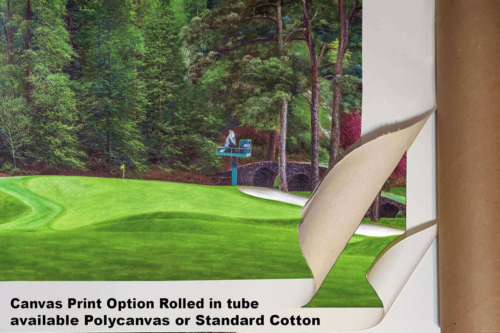 Augusta National Golf Club poster pic PGA Putting Green Masters artwork Course Hole 11 painting print White Dogwood ANGC11RiOil01 RichimageArt.com 4