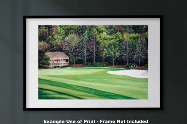 Augusta National poster painting print pic Masters Amen Corner White Dogwood PGA Golf Club Hole 11 artwork ANGC11RiOil02 RichimageArt.com 25