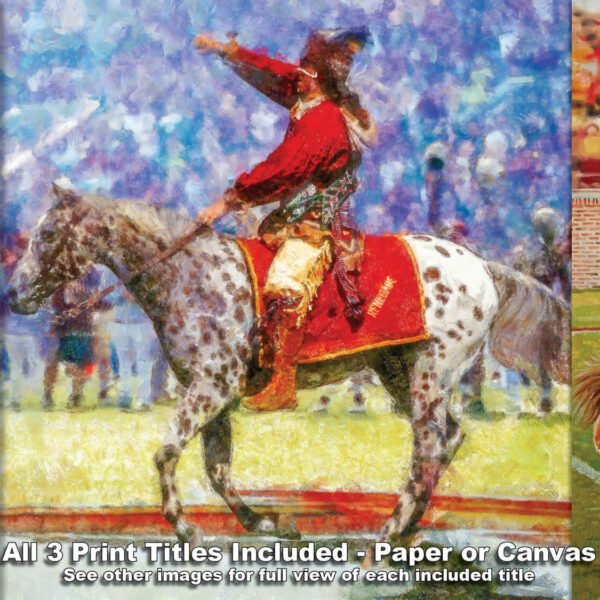 Chief Osceola FSU Mascot College Football Team wall art Florida State Seminoles artwork Renegade painting print canvas prints FSUchief3combo 3