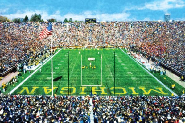 Michigan Stadium poster painting print Ann Arbor Wolverines Football Stadium College NCAA The Big House artwork MichWlv1MC1 1
