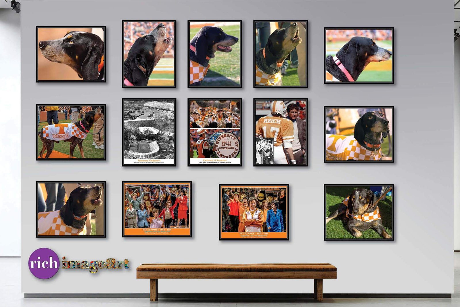 Neyland Stadium College NCAA painting print artwork pic tennessee vol tn volunteer football poster Checkerboard Stands TnNeyOW1MC1 25