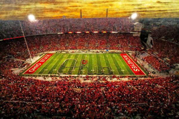 OSU Football poster painting print pic football team field Buckeyes College NCAA Ohio Stadium artwork OSUstd1MC1 1