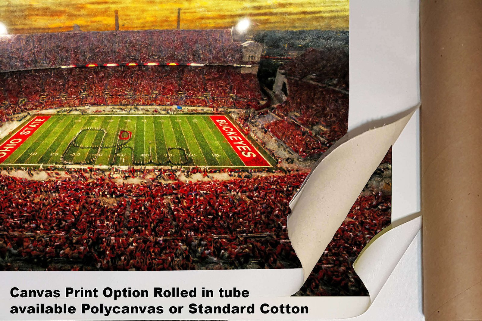 OSU Football poster painting print pic football team field Buckeyes College NCAA Ohio Stadium artwork OSUstd1MC1 4