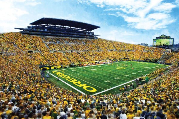 Oregon Ducks artwork football team pic poster field Autzen Stadium painting print College NCAA OrgnDck2MC1 1