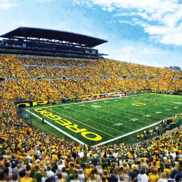 Oregon Ducks artwork football team pic poster field Autzen Stadium painting print College NCAA OrgnDck2MC1 1