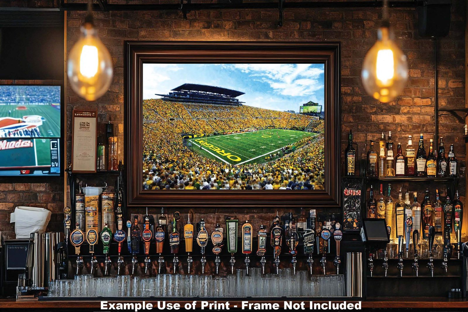 Oregon Ducks artwork football team pic poster field Autzen Stadium painting print College NCAA OrgnDck2MC1 15