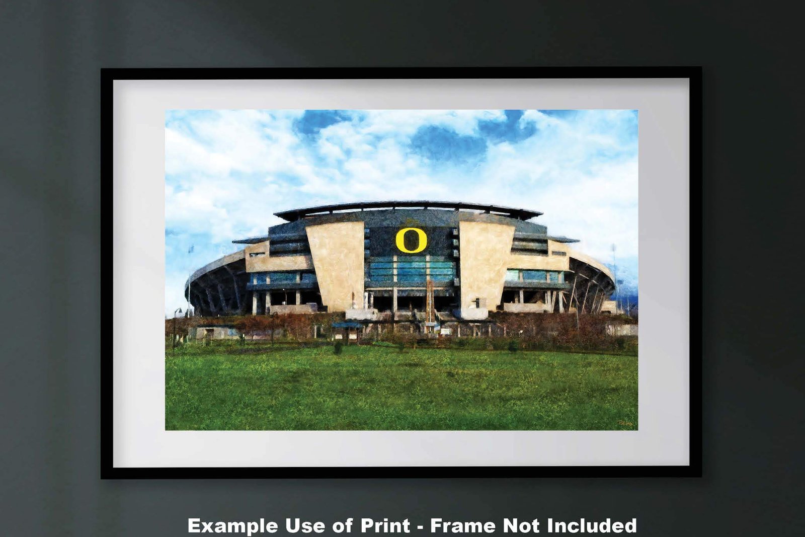 Oregon Ducks poster painting print pic field football team College NCAA Autzen Stadium artwork OrgnDck1MC1 26